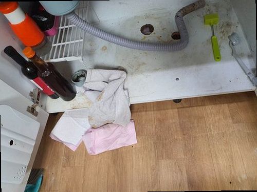 의왕 이동 하수구막힘 배수구 주변 상태와 현장 점검 과정을 확인하는 모습