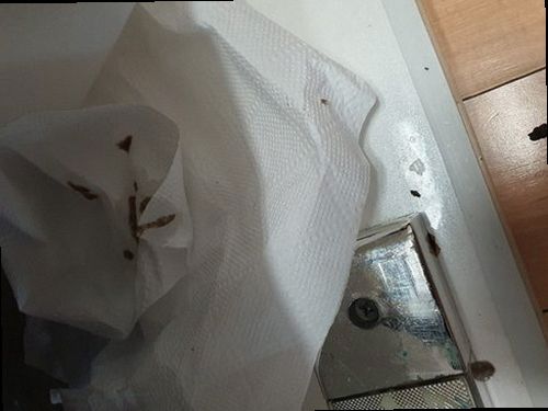의왕 하수구막힘 월암동 하수구막힘 싱크대 음식물 막힘 숨겨진 원인을 찾는 현장 기록
