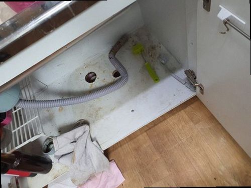 의왕 월암동 하수구막힘 배수 지점과 주변 상태를 확인하는 현장 점검 모습